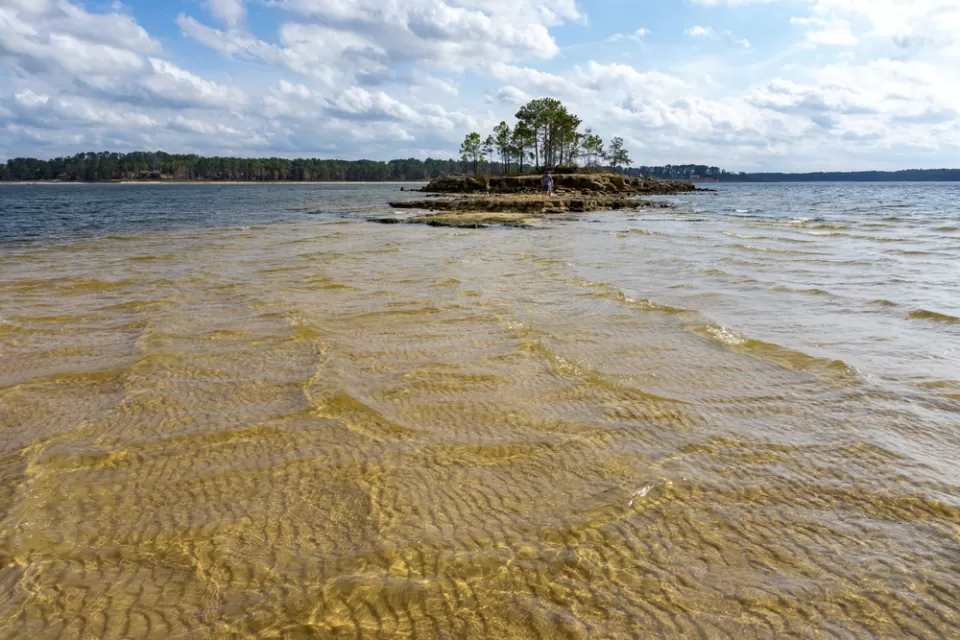 View of reservoir with small island with trees in Texas